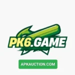 PK6 Game
