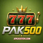 PAK500 Game