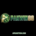 PAKWIN 88 Game
